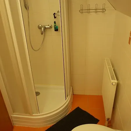 شقة Zlosin Velké Losiny